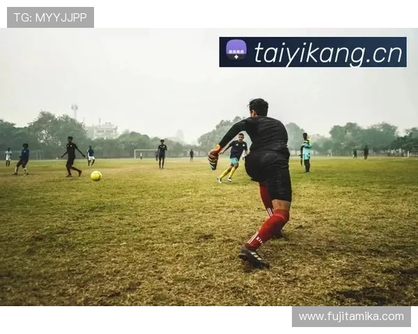 开云体育官网首页平台特色功能，智能推荐、个性化定制与多端同步使用体验分析